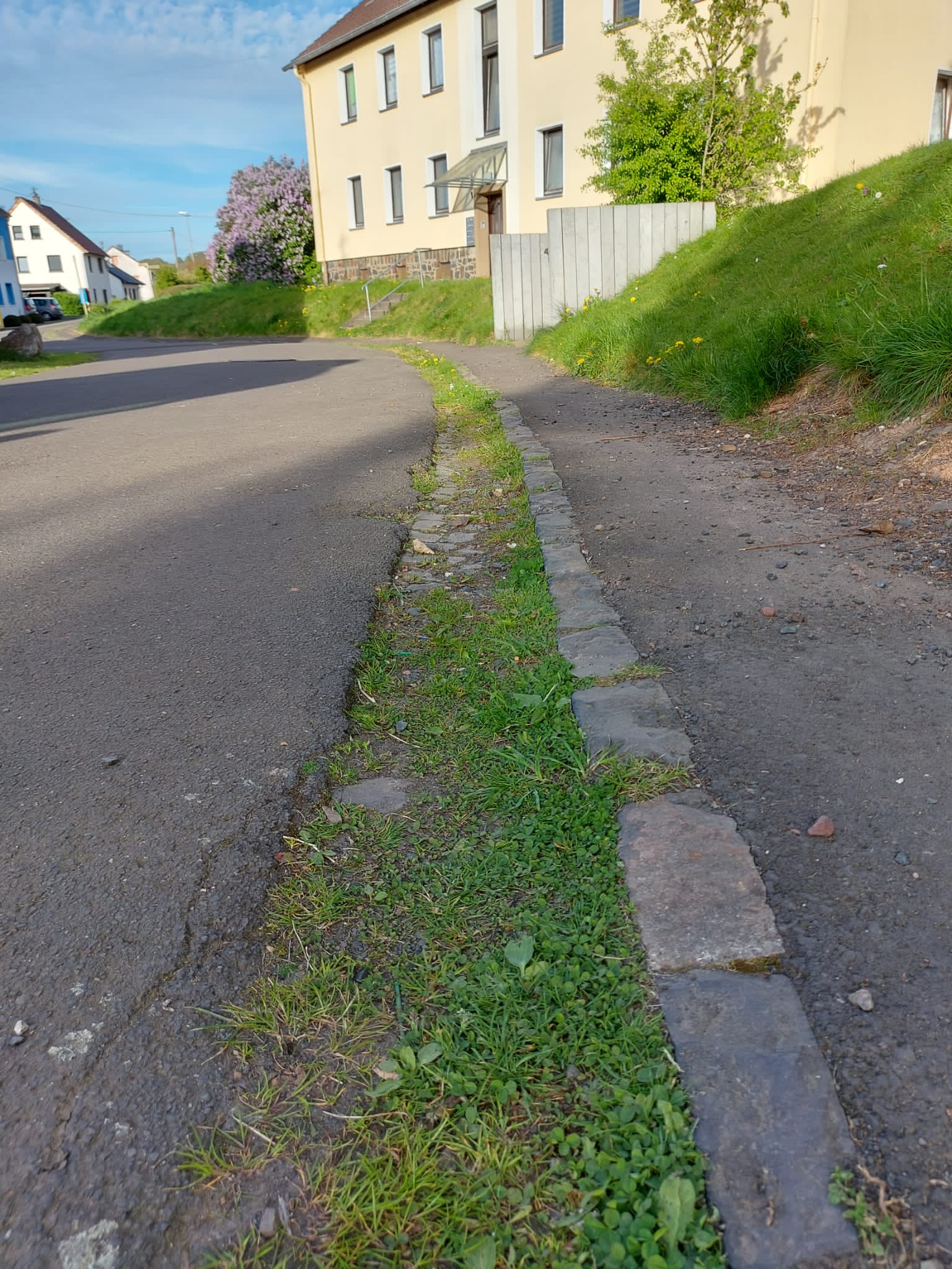 Unkrautentfernung Straßenreinigung Kusel