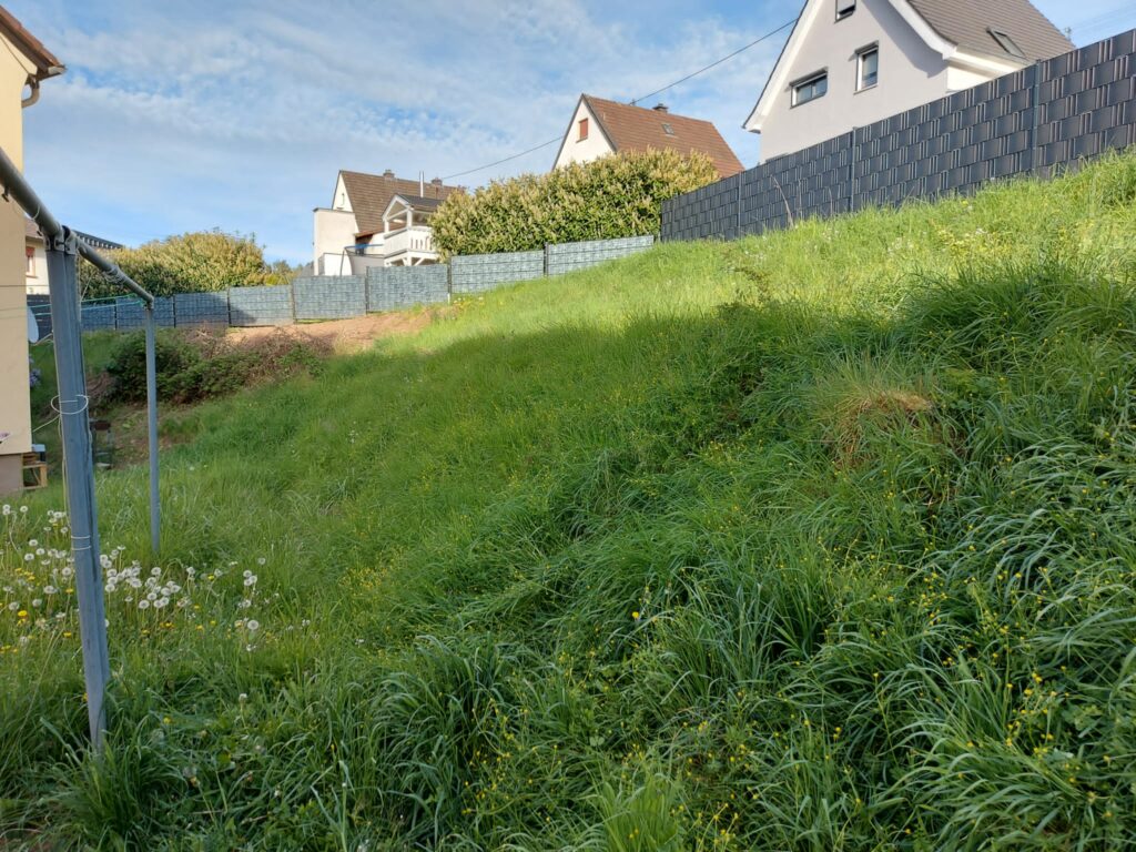 Gartenpflege & Heckenschneiden Kusel Wolfstein Geyer GGM RLP Saar