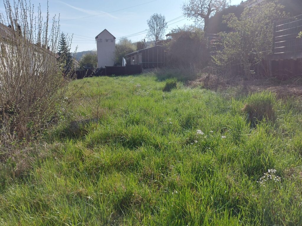 Gartenpflege & Heckenschneiden Kusel Wolfstein Geyer GGM RLP Saar