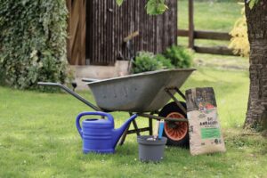 Beetpflege Kusel Gartenservice Geyer Wolfstein